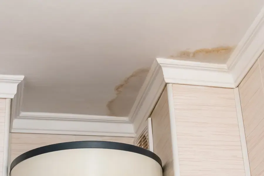 Brown water stain spreading across a Denham Springs ceiling from a leak above