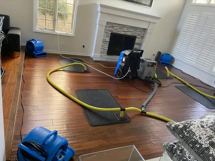 Extraction hose pulling standing water from a Denham Springs living-room floor